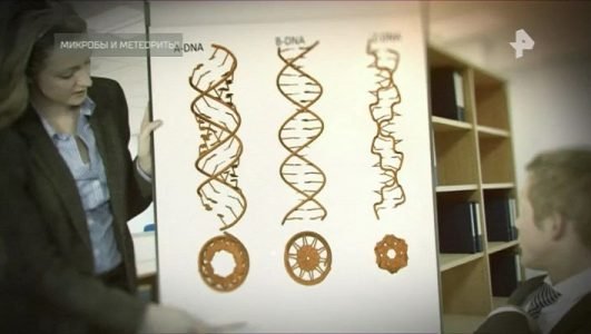 Самые шокирующие гипотезы. Микробы и метеориты (Эфир 10 ноября 2021 года)